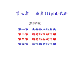 《脂类代谢》课件.ppt