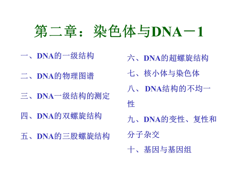 《染色体与DNA》课件.ppt_第1页