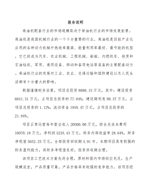 宁波起动电机项目可行性研究报告模板范本.docx