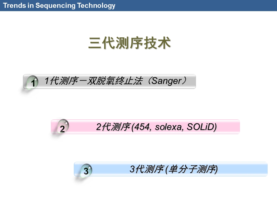 二代测序技术在血液系统疾病中的应用浅谈.ppt_第3页