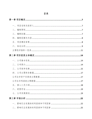 安徽功能性高分子材料项目可行性研究报告.docx