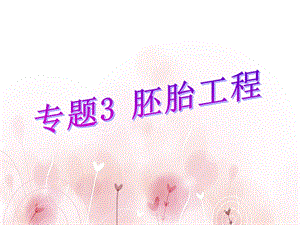 《胚胎工程》课件.ppt