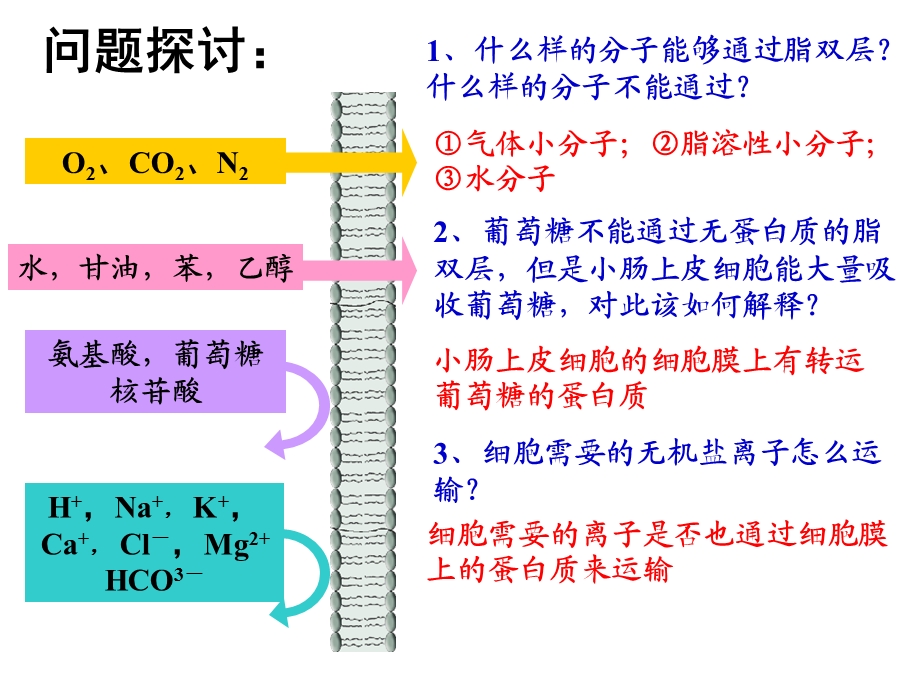 《物质跨膜运输的方式.ppt_第2页