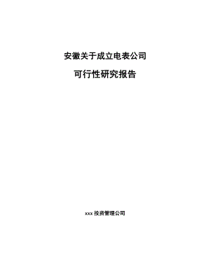 安徽关于成立电表公司可行性研究报告.docx