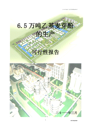 6.5万吨乙基麦芽酚项目可行性研究报告.doc