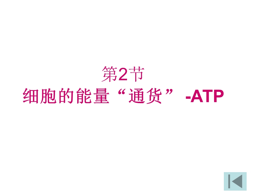 《细胞的能量“通货”-ATP》终稿.ppt_第1页