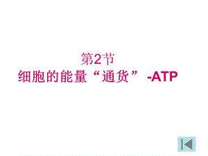 《细胞的能量“通货”-ATP》终稿.ppt