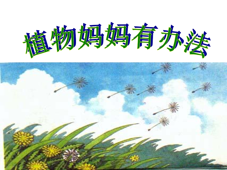 《植物妈妈有办法》ppt课件(部编版).ppt_第1页