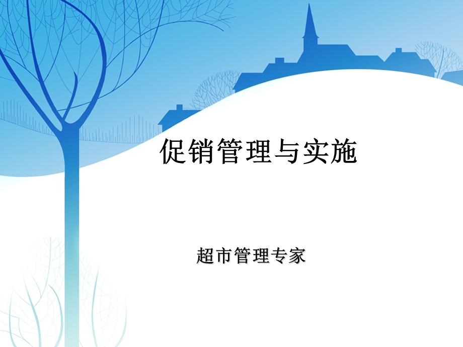 促销管理与实施.ppt_第1页