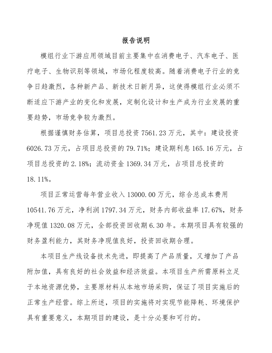 宁波智能电子模组项目可行性研究报告.docx_第2页