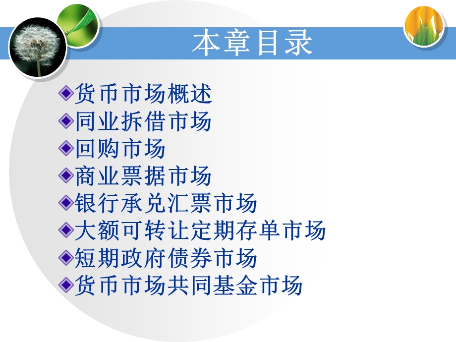 《货币市场》课件.ppt_第2页