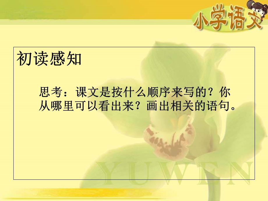 《新春赏梅》课件.ppt_第2页