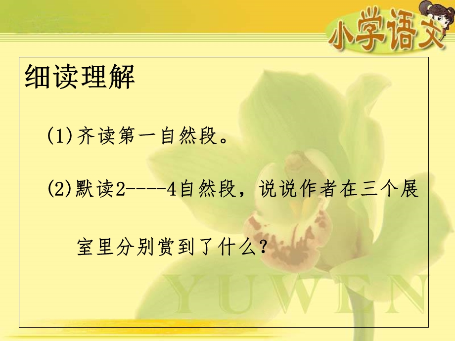 《新春赏梅》课件.ppt_第3页