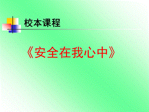 《安全在我心中》六年级主题队会.ppt