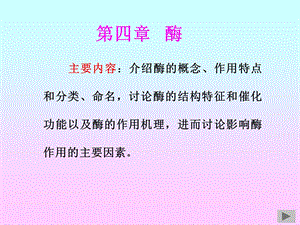 《酶和维生素》课件.ppt