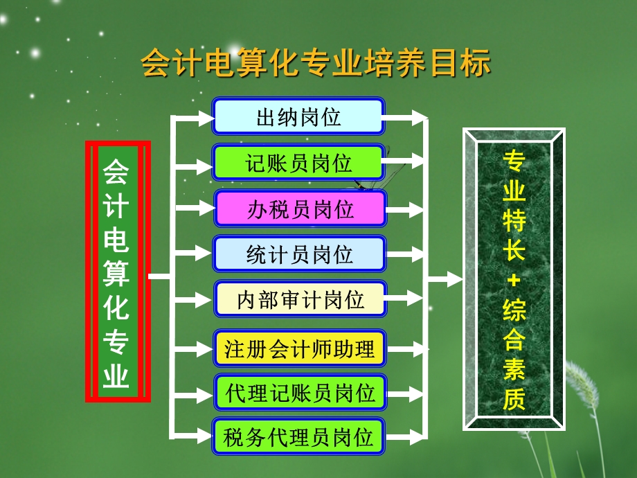 《纳税实务》课程整体设计介绍.ppt_第3页