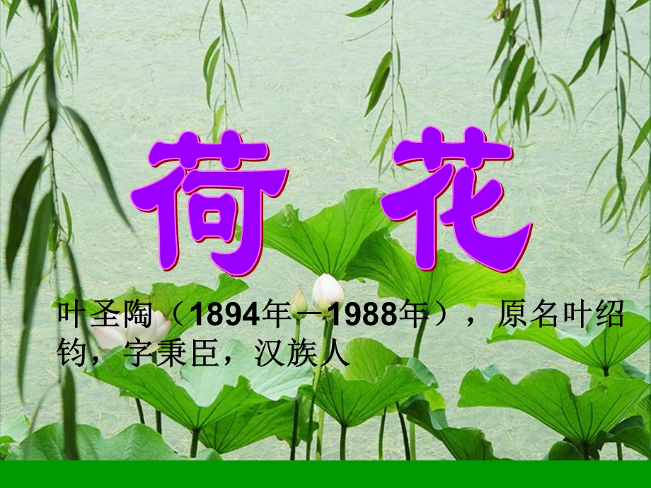 《荷花》PPT人教版三年级语文下册课件.ppt_第2页