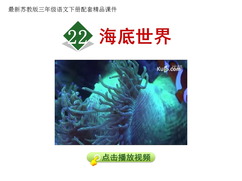 《海底世界》第一课件.ppt_第1页