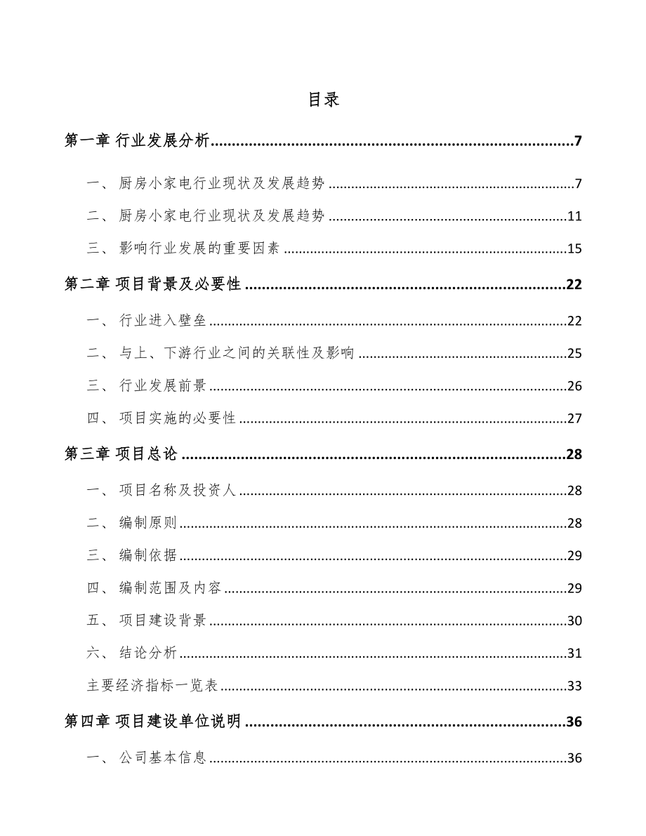 安徽厨房小家电项目可行性研究报告.docx_第1页