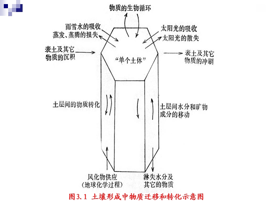 《土壤形成过程》课件.ppt_第2页