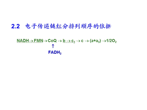 《生物氧化》课件.ppt