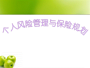 个人风险管理与保险规划正式版.ppt