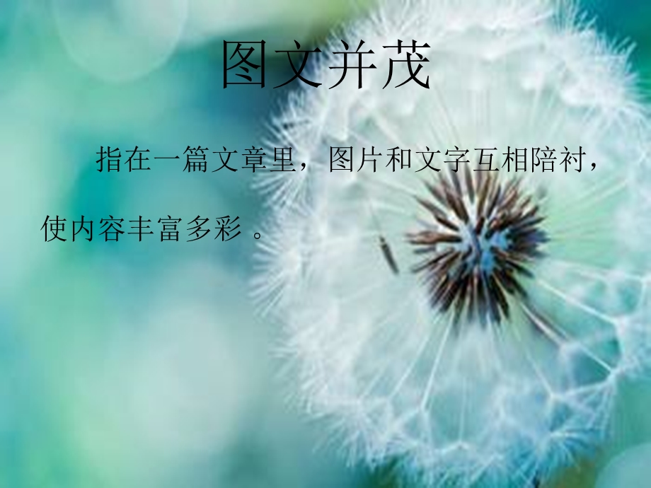 《图文并茂》课件.ppt_第2页