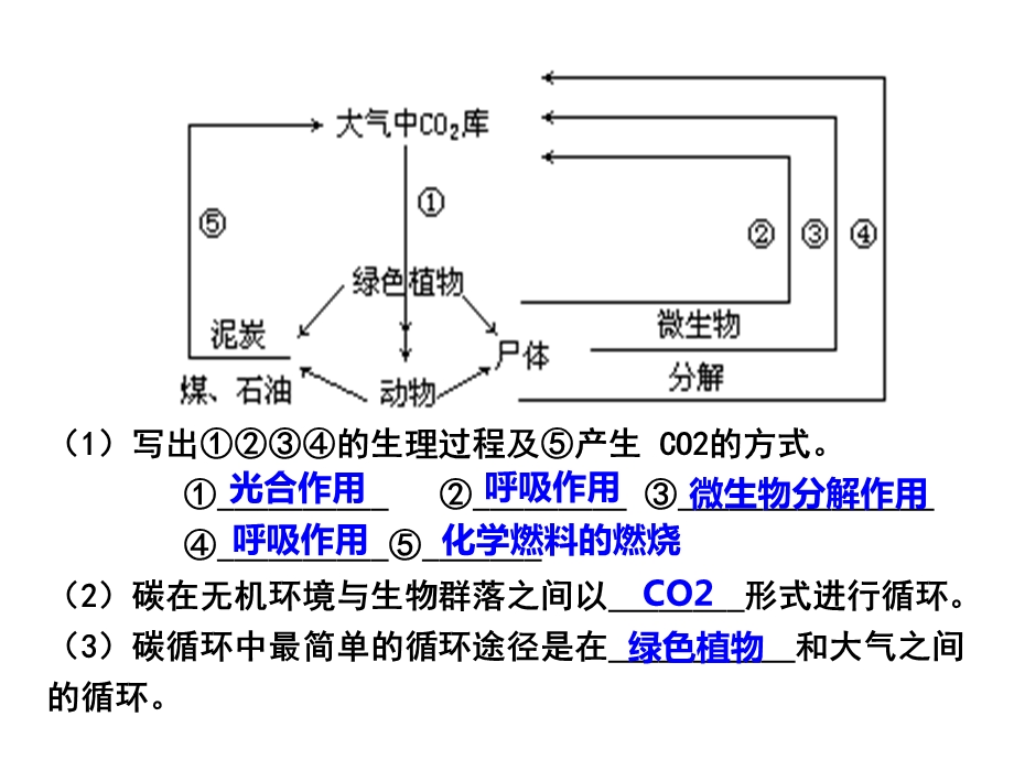 《生态系统的信息传递》公开课.ppt_第2页