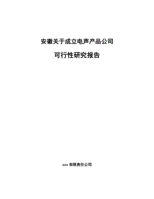 安徽关于成立电声产品公司可行性研究报告.docx