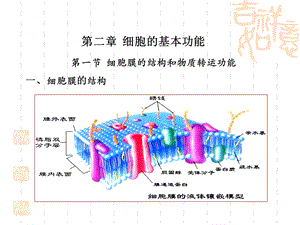 《细胞生理》课件.ppt