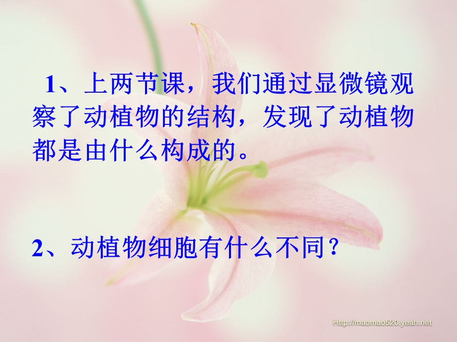 《细胞的生活》课件.ppt_第2页