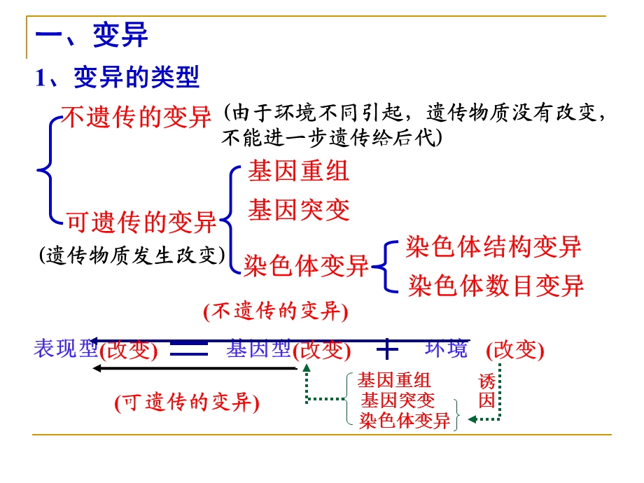 《生物的变异》课件.ppt_第3页