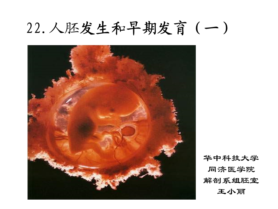 《胚胎学总论》课件.ppt_第1页