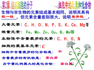 《细胞中的元素和化合物》.ppt