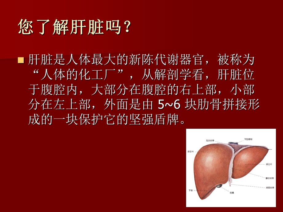 《脂肪肝的防治》课件.ppt_第2页