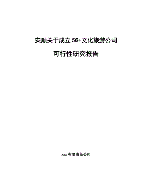 安顺关于成立5G+文化旅游公司可行性研究报告.docx