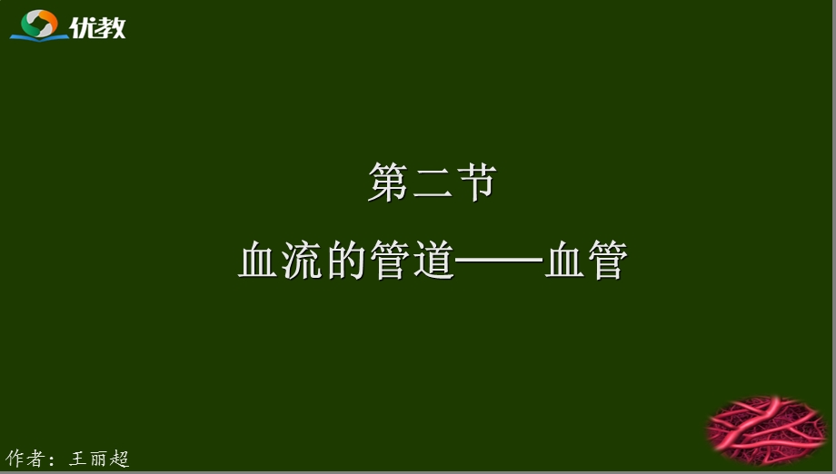 《血流的管道-血管》演示课件.ppt_第1页