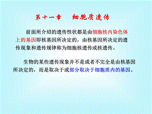 《细胞质遗传》课件.ppt