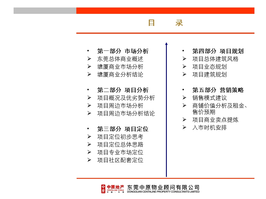 东莞塘厦德洲项目商业部分定位规划方案.ppt_第2页