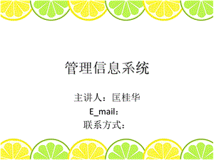 《管理信息系统》课件.ppt