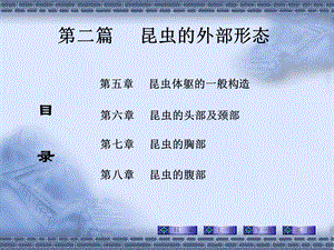 《外部形态头部》课件.ppt