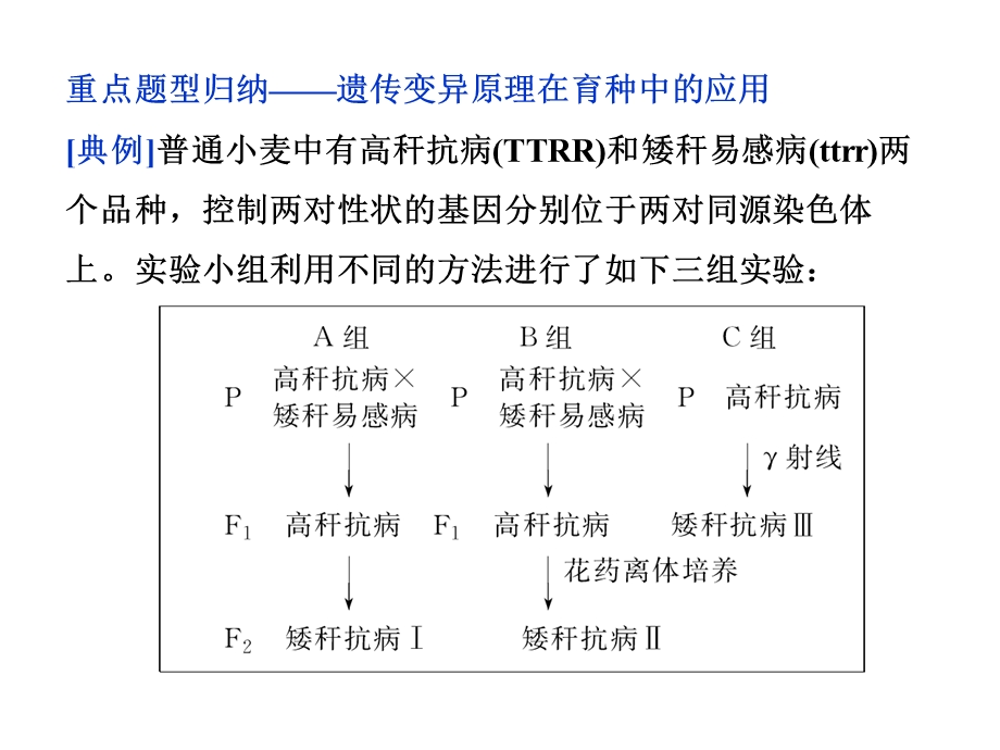 《综合提升》课件.ppt_第2页