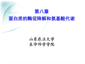 《蛋白质代谢》课件.ppt