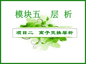 《离子交换层析》课件.ppt