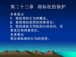 《商标权的保护》课件.ppt