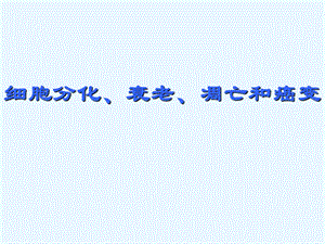 《细胞分化、衰老、凋亡和癌变》课件.ppt