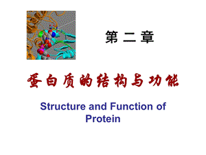 《生物化学教案》课件.ppt