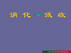 《消化吸收》课件.ppt