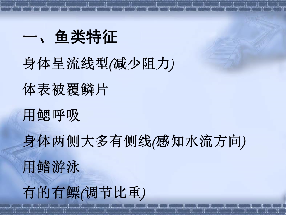 《脊椎动物》课件.ppt_第3页