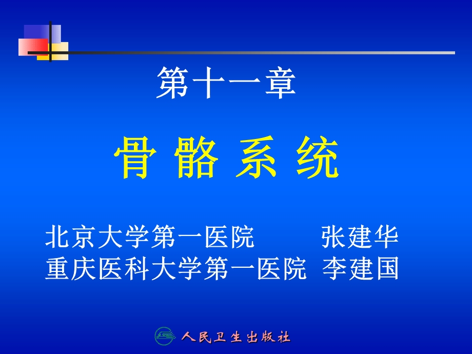 《骨骼系统》课件.ppt_第1页